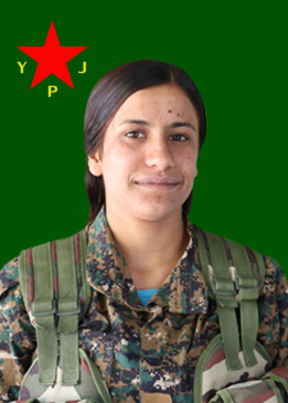 ZÎLAN KOBANÊ