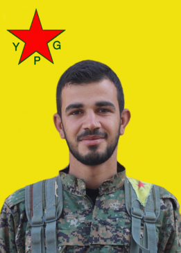 MED ROJAVA