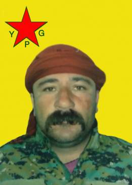 MIZGÎN ŞAHÎN